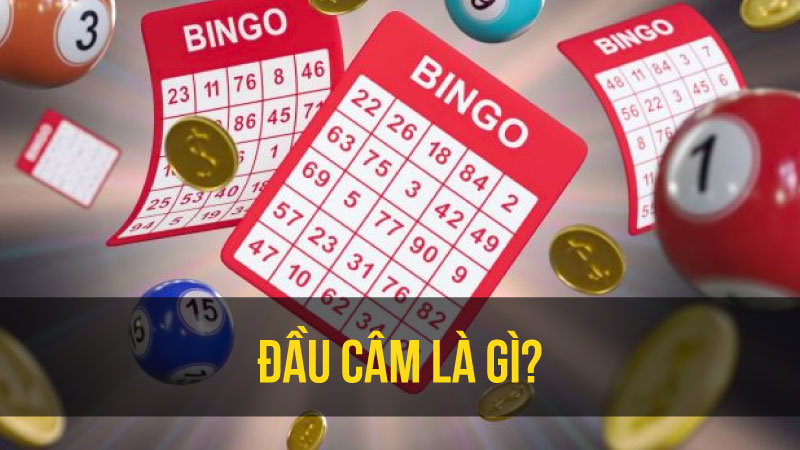 Vai Trò Của Đầu Câm Là Gì?