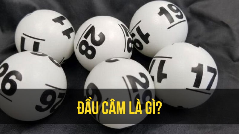 Cách Nhận Biết Đầu Câm Là Gì?