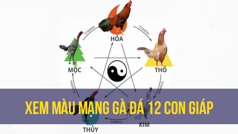 Ngũ Hành Và Tác Động Của Chúng