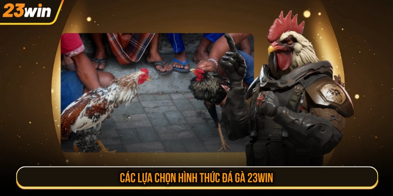 Các lựa chọn hình thức đá gà 23WIN