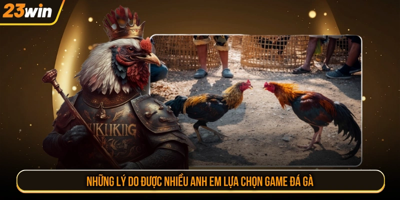 Những lý do được nhiều anh em lựa chọn game đá gà