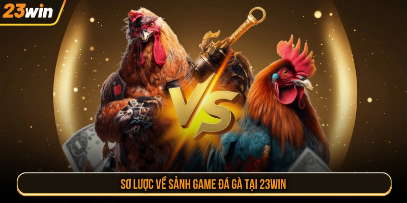 Sơ lược về sảnh game đá gà tại 23WIN